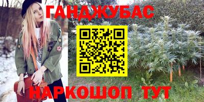 крисы Шелехов
