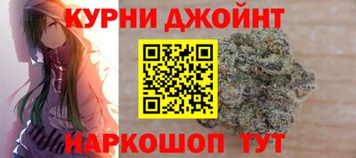 крисы Шелехов