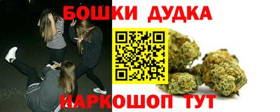 крисы Шелехов