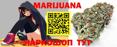 крисы Шелехов
