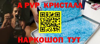 крисы Шелехов