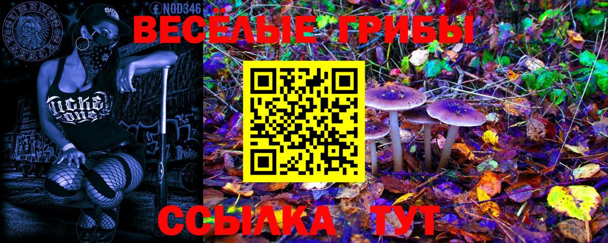 КОКАИН  Гашиш  Каннабис  МДМА  Меф МЯУ МЯУ кристаллы  Курчатов  Вход с VPN 