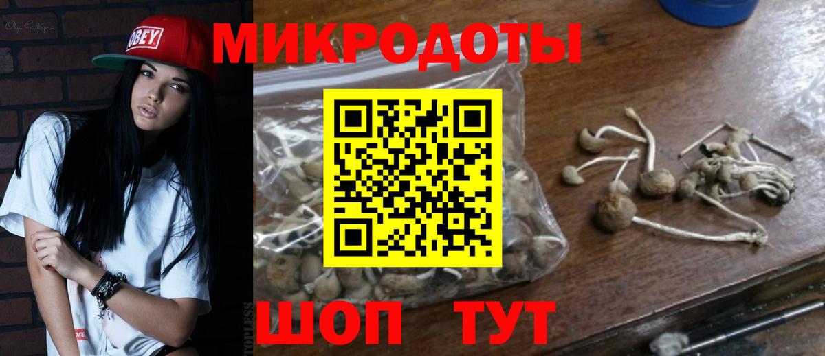 Псилоцибиновые грибы мухоморы  Вход с VPN  где можно купить наркотик  Курчатов 